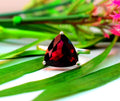 Garnet Trillion Ring
