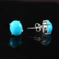 Sleeping Beauty Turquoise Earrings